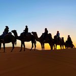 Photo taken by Megan P