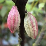 Photo taken by Paul F