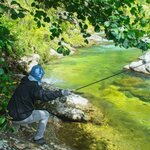 Photo taken by Dan U