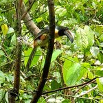 Photo taken by Garritt V