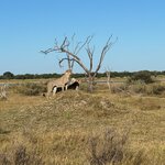 Photo taken by Chris K