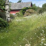 Photo taken by Janice W