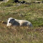 Photo taken by Elaine S