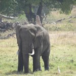 Photo taken by Kristin M