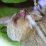 Photo taken by Jaya C