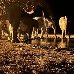 Photo taken by Nigel R