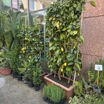 Photo taken by Elysa D