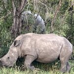 Photo taken by rhonda c