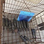 Photo taken by Candi S