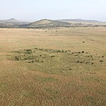 Spot the giraffe | Photo taken by Jonathan G