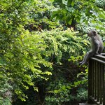 Photo taken by Alexandra G