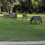 Photo taken by Christopher F