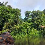 Photo taken by Esther B