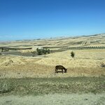 Photo taken by Monika S