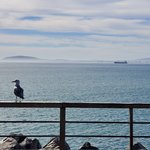 V&A Waterfront | Photo taken by lilia s