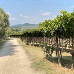 Photo taken by Linda C