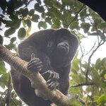 Photo taken by Kristen L