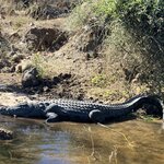 Photo taken by rhonda c