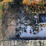 Photo taken by Priya R