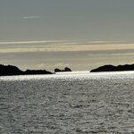 Photo taken by Lisa S