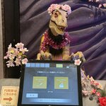 Photo taken by Ian M