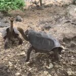 Photo taken by Stephanie A