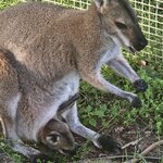 Photo taken by Dan J