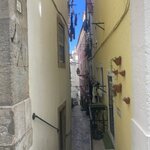 Photo taken by Michele R