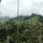 Cloud forest | Photo taken by Sophie E