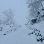 Photo taken by Bryan T