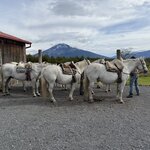 Photo taken by Sharon B