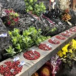 The amazing Lava Store atop Pacaya | Photo taken by BRAD K