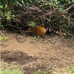 Photo taken by Chris H