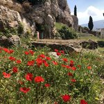 Photo taken by Shawn G