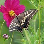 Photo taken by Jason P