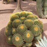 Photo taken by Louis U