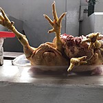 Photo taken by Brenna M