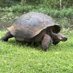 Photo taken by Sharon J