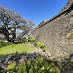 Photo taken by Rachel P