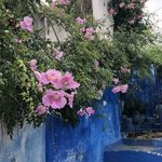 Photo taken by Laura M