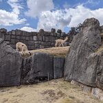 Photo taken by Susan B