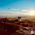 Photo taken by Aaron L