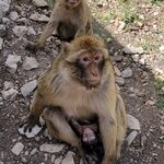 Photo taken by Rick E