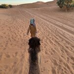 Photo taken by Sandra G