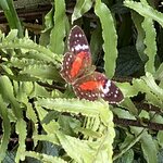 Photo taken by Sangini S