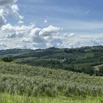 Photo taken by Tracy F