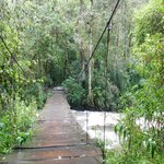 Photo taken by Brett F