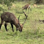 Photo taken by Michael L