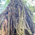 Photo taken by Joyce C