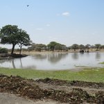 Photo taken by Kristin M